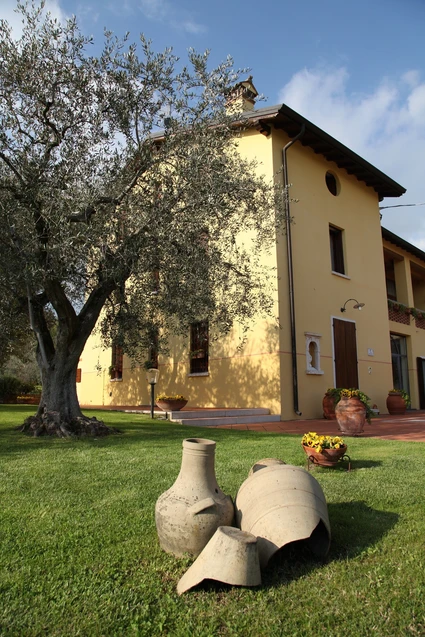 Sensorische Verkostung von Weinen vom Gardasee und aus dem Valpolicella 2